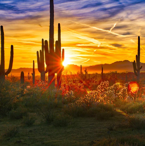 Need help with your install? Now serving the Metro Phoenix Area.